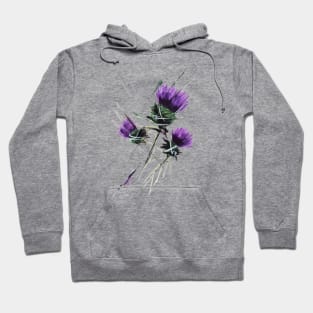 Scottish spear thistles Hoodie